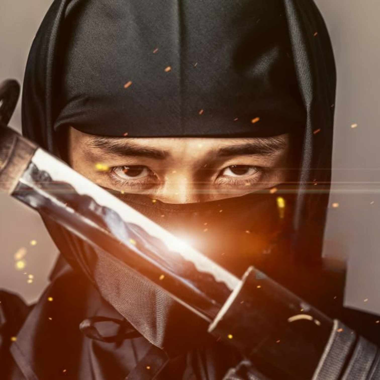 Ninja NINJA — Maestro dell'Invisibile, Incarnazione del Potere Silenzioso di Mai