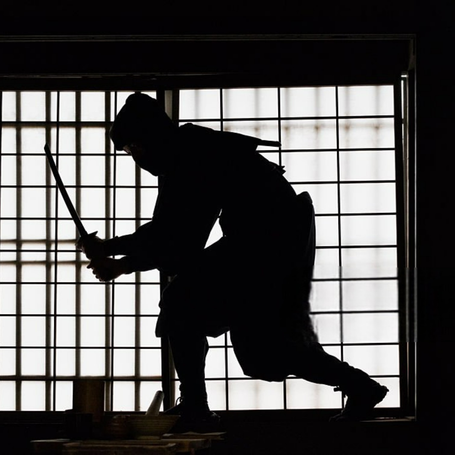 Ninja NINJA — Maestro dell'Invisibile, Incarnazione del Potere Silenzioso di Mai