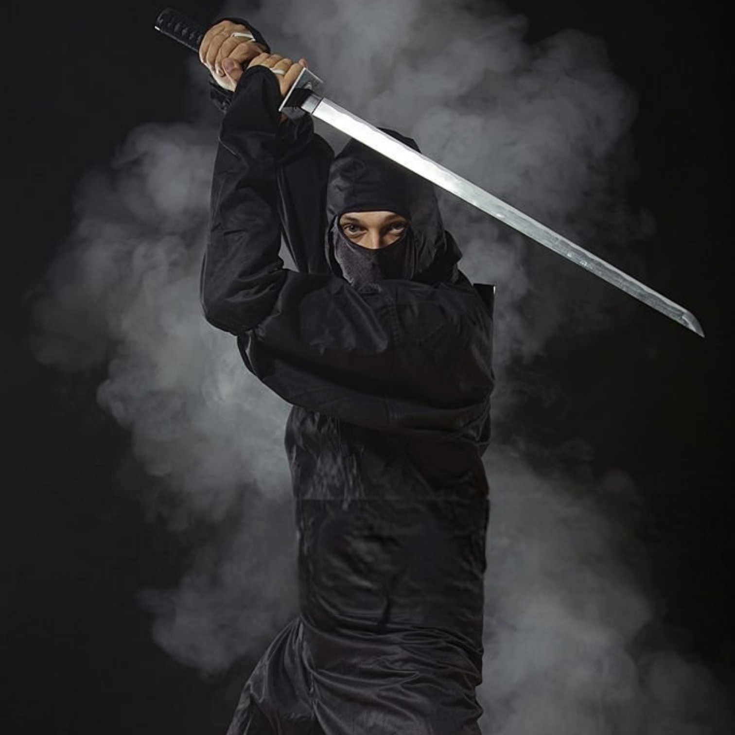 Ninja NINJA — Maestro dell'Invisibile, Incarnazione del Potere Silenzioso di Mai